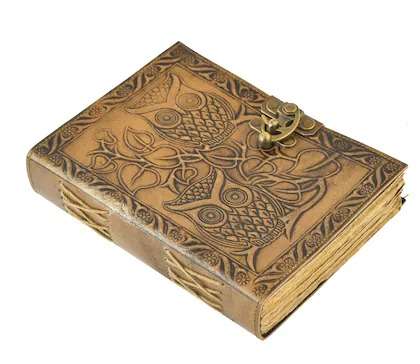 Diary - Image 2